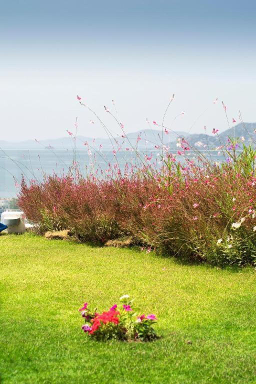 Bodrum Horizon Villas Luaran gambar